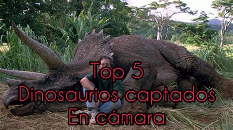 top 5 dinosaurios captados en cámara y vistos en la vida real YouTube