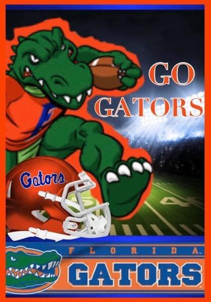 The Florida Gators Football Team Poster