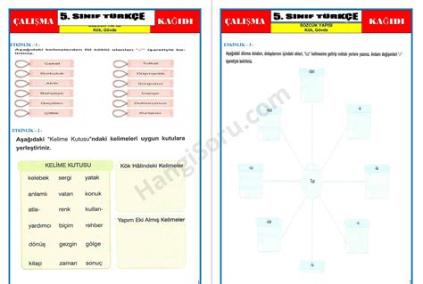 5 Sınıf Türkçe Sözcükte Yapı Çalışma Kağıdı PDF HangiSoru