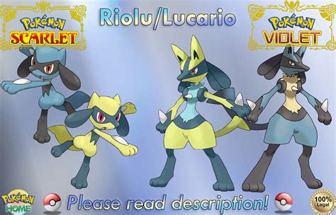 Shiny Riolu Pokemon X