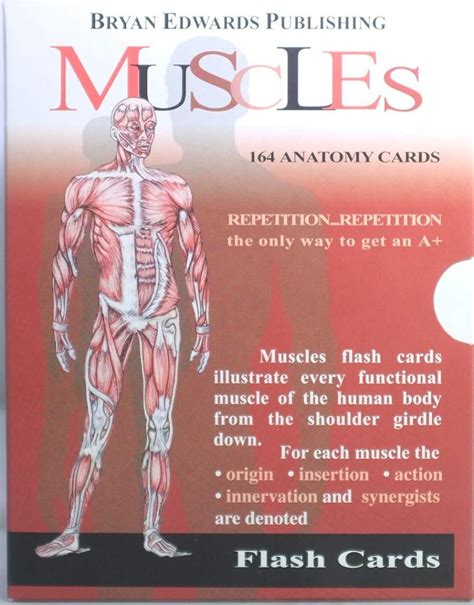 The Muscles Flash Cards Flash Anatomy Flash Anatomy Flash Anatomy