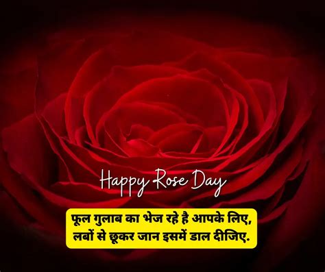 Best 101 Rose Day Shayari In Hindi रोज डे शायरी Happy Rose Day Shayari Shayari For Wife