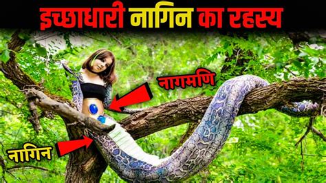 इच्छाधारी नागिन का रहस्य Mythology Creatures And Monsters