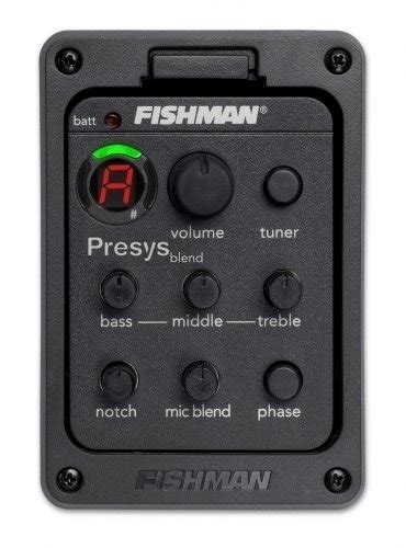 Fishman Presys Blend 301 Muziker