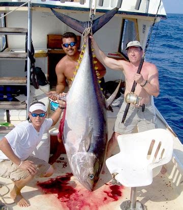 Good Baja Dorado Fishing Off Magdalena Bay Yellowtail Showing Up At