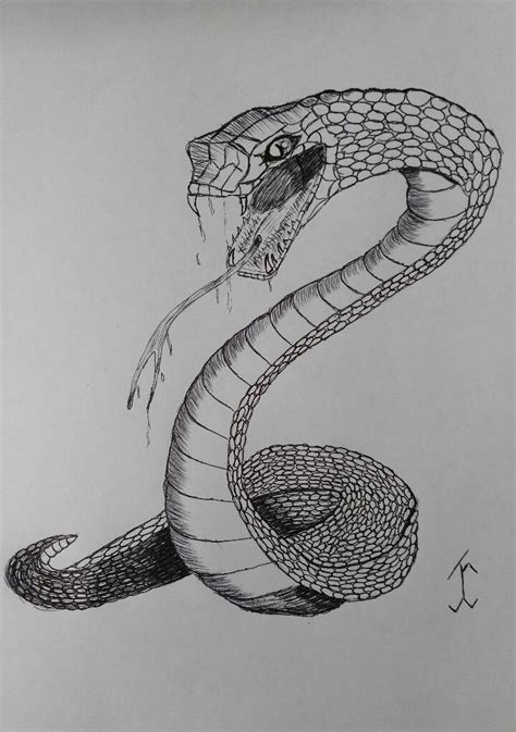 SnakeSquare #snake #drawing #draw #pen #art #gothic #cobra | Dibujo de ...