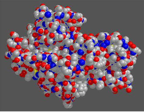 4 Tertiary Structure Of Hexokinase Download Scientific Diagram