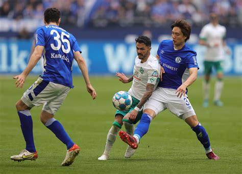 Werder Bremen Vs Schalke 04 Prediction And Betting Tips November 5 2022