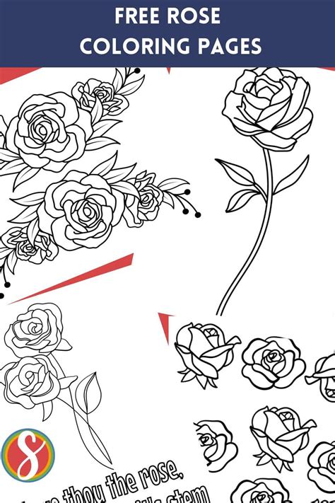 Free Flower Rose Coloring Pages — Stevie Doodles