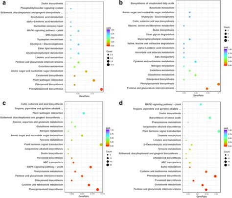 Comparative Transcriptome Analysis Reveals Gene Network Regulating