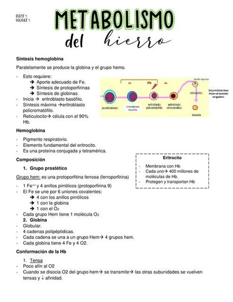 Metabolismo Hierro Joseph Jacobo Supelano UDocz