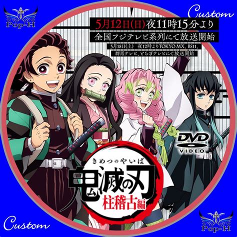 鬼滅の刃 柱稽古編（dvd） ※ジャケレベ 04 Pop H円盤衣装（カスタムレーベル）