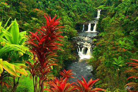 H012 Umauma Falls Big Island Hawaii Randall J Hodges Photography