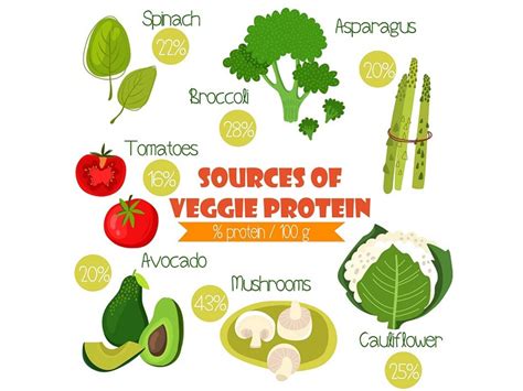 20 Top Protein Rich Vegetables List Available In India