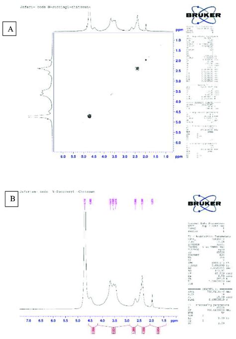 A H NMR And B H H COSY Spectrum Of N Succinyl Chitosan H NMR Proton