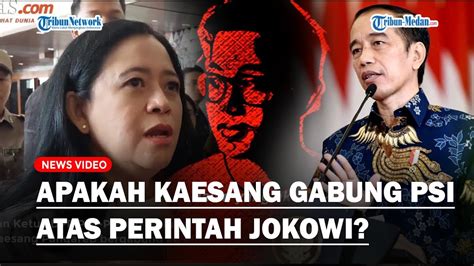 Berani Puan Maharani Tanya Langsung Kaesang Soal Kabar Masuk Psi Tak