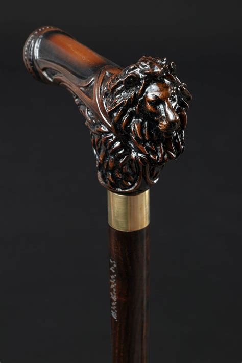 Carved Lion Head Comfortable Walking Cane, Unusual Crazy Walking Stick ...