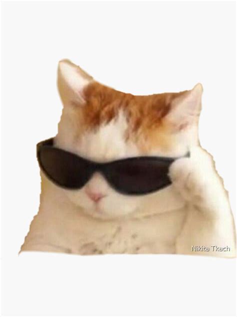 "Cat with glasses meme" Sticker for Sale by NeKiTDeSiGhNeR | Redbubble