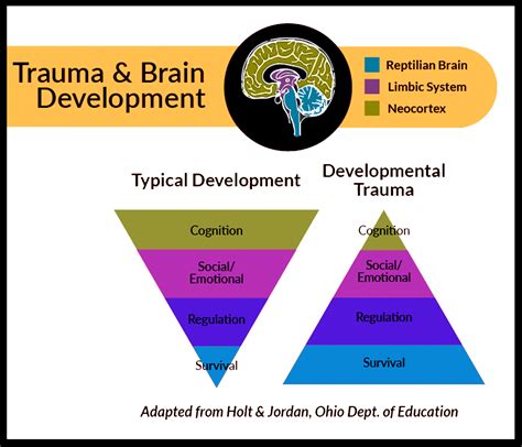 Trauma Brain Diagram