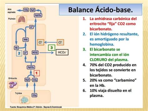 Equilibrio Acido Base