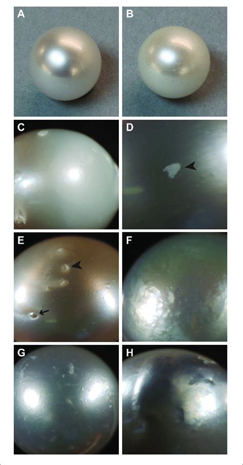 Examples Of Surface Characteristics Of Pearls A High Luster Note