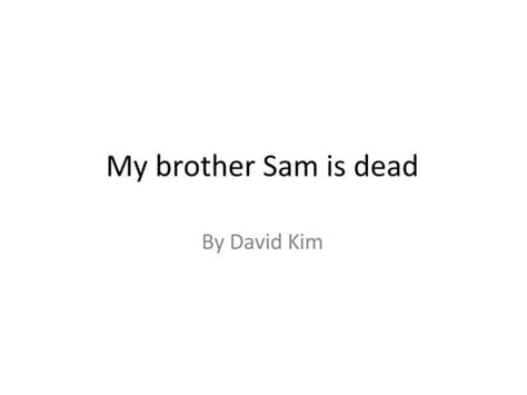 (Sally)My Brother Sam Is Dead Summary Chp