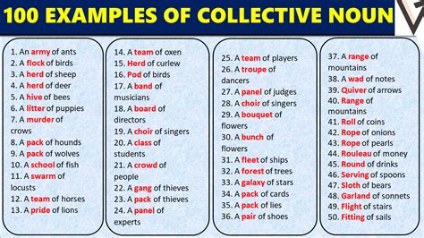 Collective Nouns Explanation And Examples With Sentences