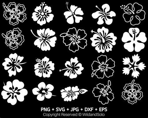 20 Hawaii Hibiscus Flower Svg Bundle Tropical Flower Svg Etsy