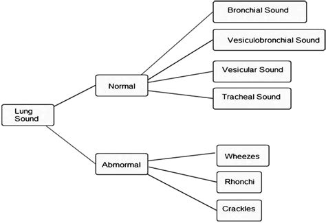 Sensors Free Full Text Using K Nearest Neighbor Classification To