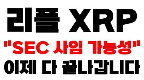 리플 Xrp 긴급속보 Sec 사임 가능성 이제 다 끝나갑니다 Youtube