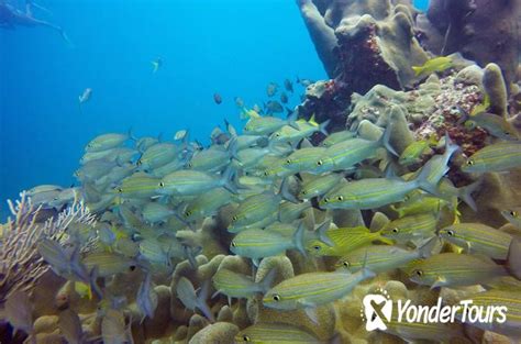 Puerto Plata Snorkeling Tour (2023)