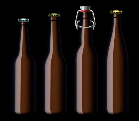 realistic vector beer bottle 7737028 Vector Art at Vecteezy