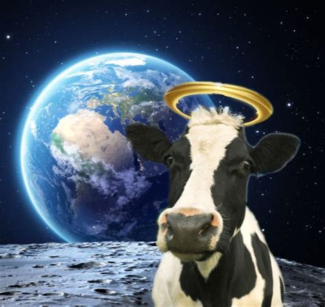 Holy Cow This Is Literally Out Of This World🌍 Rmemes