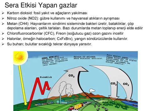 Biojeokimyasal Döngüler ppt indir