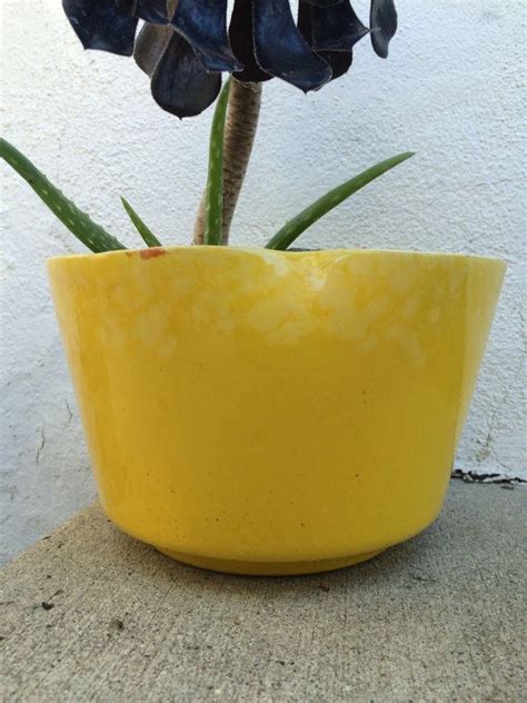 A Yellow Flower Pot With Blue Flowers In It