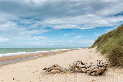 Yann Avril Photographies Photos De La C Te D Opale Bois Flott Sur