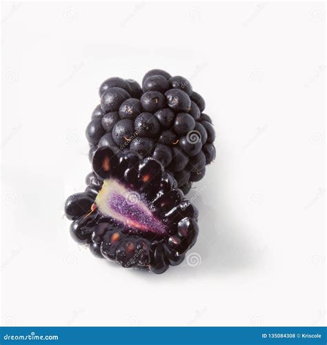 Large Fresh Blackberry Isolated On White Background Stock Photo