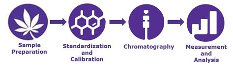 Analysis Of 17 Cannabinoids In Hemp And Cannabis