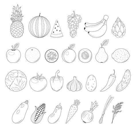 conjunto de frutas y verduras ilustración vectorial libro para