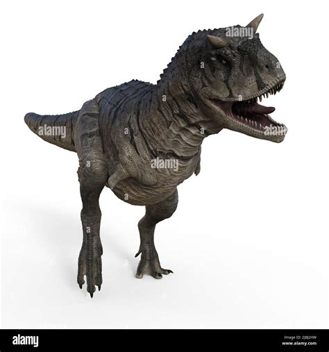 D Illustration Of An Isolated Dinosaur Carnotaurus Stock Photo Alamy