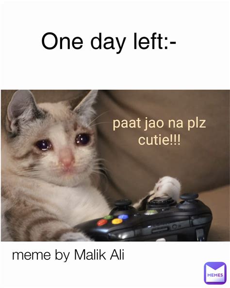 Paat Jao Na Plz Cutie Meme By Malik Ali 😎 One Day Left