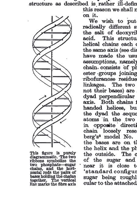 Odile Crick Who Drew Iconic Double Helix Dies At 86 The New York Times