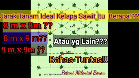 TIPS Cara Menentukan JARAK TANAM IDEAL KELAPA SAWIT YANG Benar WAJIB