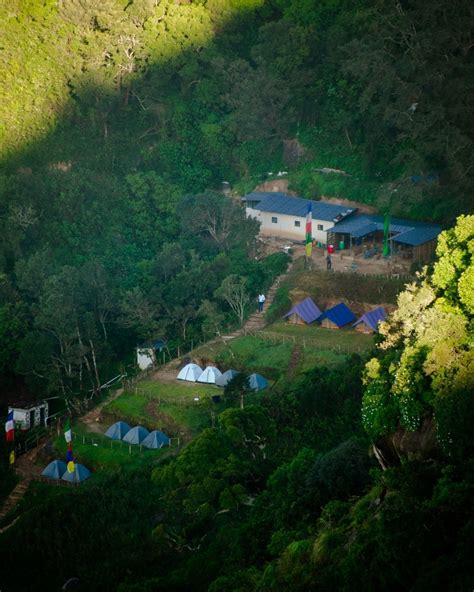 Yellapetty Camping in Munnar | Treks and Trails India