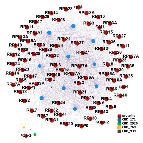 Molecules interacting with ribosomal proteins