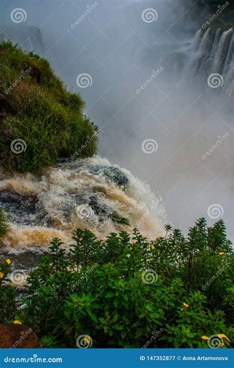 Ponto De Vista Bonita De Foz De Igua U Peurto Iguazu Argentina Local