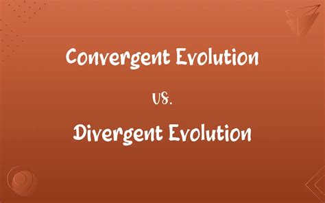 Convergent Evolution Vs Divergent Evolution Know The Difference