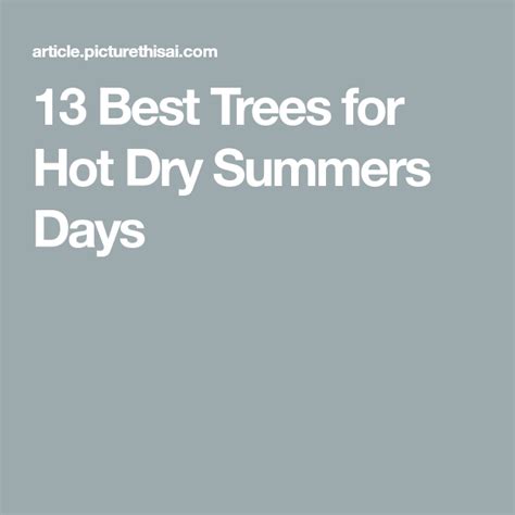 13 Best Trees For Hot Dry Summers Days Fast Growing Evergreens Fast Growing Trees Tropical Tree