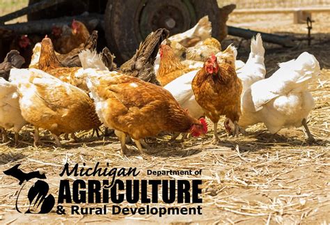 mdard mdard director tim boring signs hpai risk reduction response