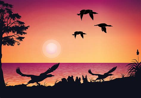 Loon Sunset Free Vector 152419 Vector Art at Vecteezy